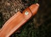 Nóż Böker Plus Walnut Drop 14C28N